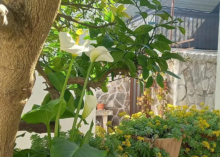 Апартаменти Donda *