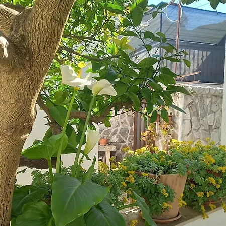 Апартаменты Donda *