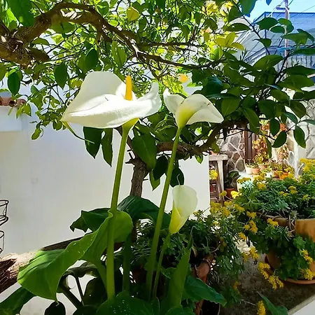 Donda Апартаменты *